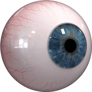 Closeup Human Eye Detail PNG image