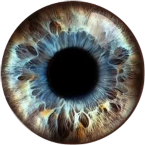 Closeup Human Eye Iris Texture.jpg