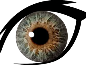 Closeup Human Eye Iris Texture PNG image