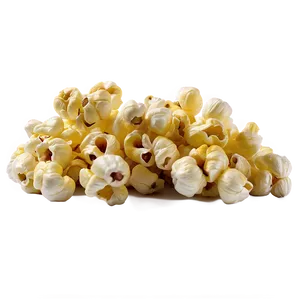 Closeup Popcorn Kernel PNG 06292024