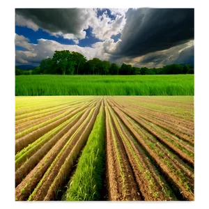 Cloudy Sky Over Fields Png 06252024 PNG image