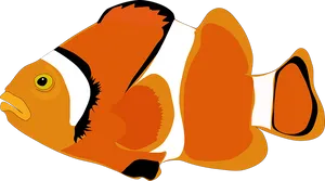 Clownfish_ Vector_ Illustration
