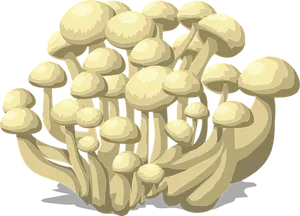 Clustered Mushrooms Illustration PNG image
