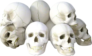 Clusterof Human Skulls PNG image