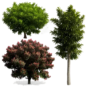 Coastal Defense Shrubs PNG 39 PNG