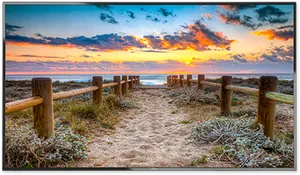 Coastal_ Sunset_ Pathway.jpg PNG image