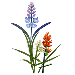 Coastal Wildflowers Scene PNG Wkc72