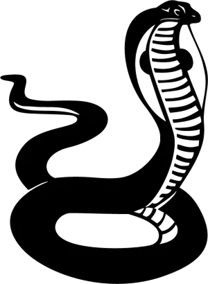 Cobra Silhouette Graphic PNG image