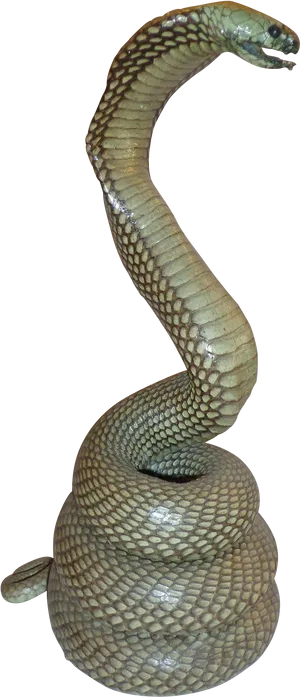 Cobrain Defense Posture PNG image
