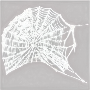 Cobweb Overlay Png 06132024 PNG image