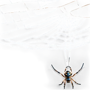 Cobweb With Spiders Png 06132024 PNG image