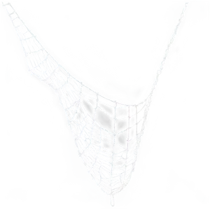 Cobwebs C PNG image