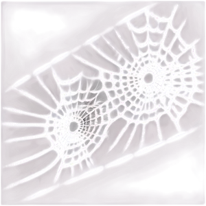 Cobwebs In The Dark PNG Mdl77
