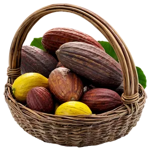 Cocoa Harvest Basket Png 06292024 PNG image