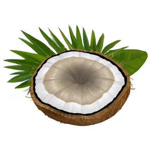 Coconut Beach Hat PNG Bhi PNG