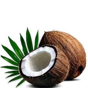 Coconut Charcoal PNG Pds7 PNG