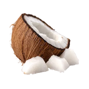 Coconut Half Slice PNG 05242024