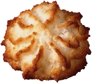 Coconut Macaroon Closeup PNG image