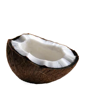 Coconut Oil Conditioner PNG 06262024