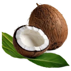 Coconut Oil Cooking Oil PNG 06262024