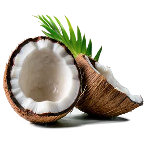 Coconut Oil Keto Diet PNG Eqd PNG