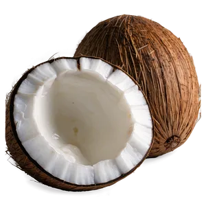 Coconut Oil Shampoo PNG 06262024