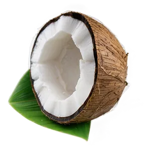 Coconut Oil Shampoo PNG 06262024