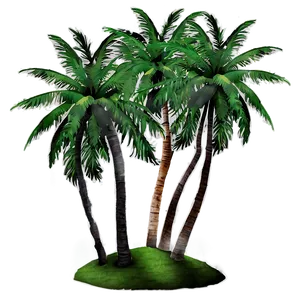 Coconut Palm Trees PNG 05042024