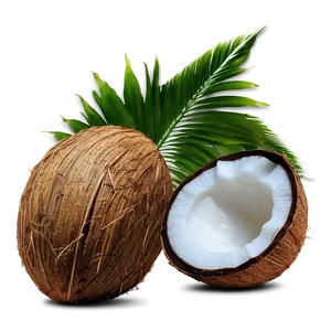 Coconut Plantation View PNG Lfv PNG