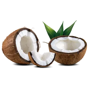 Coconut PNG 06122024 PNG