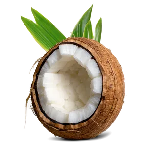 Coconut PNG Bnh73 PNG