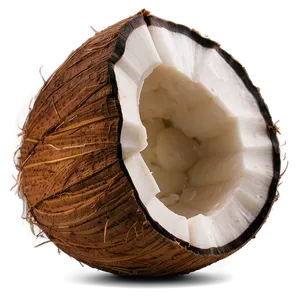 Coconut PNG Mkr PNG