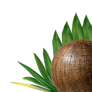 Coconut Shell Craft PNG Iff PNG