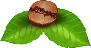 Coffee Beanon Leaves Illustration PNG image