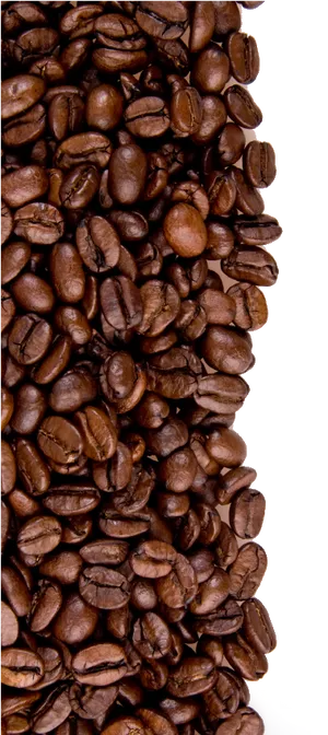 Coffee Beans Texture Background PNG image