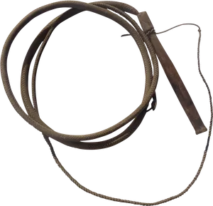 Coiled Leather Whip PNG image