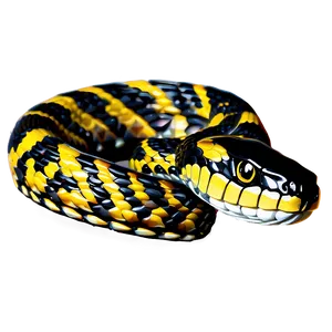 Coiled Snake Art Png 05032024 PNG image