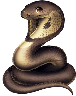 Coiled Snake Illustration PNG image