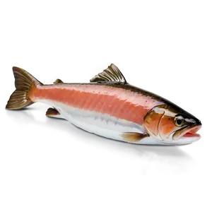 Cold Smoked Salmon Png Les PNG image