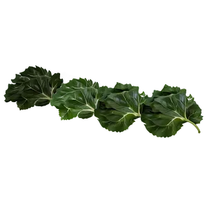 Collard Greens And Rice Png 06252024 PNG image