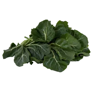 Collard Greens Bundle Png 06252024 PNG image