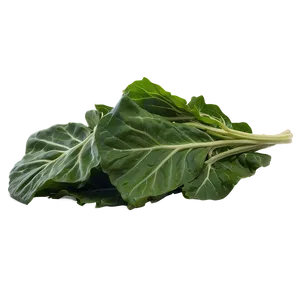Collard Greens Bundle PNG 82