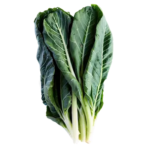 Collard Greens Bundle PNG Eyx
