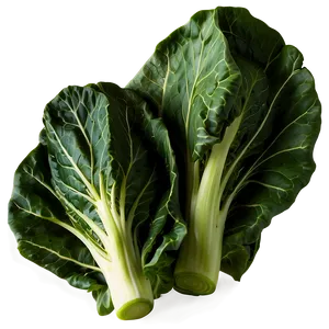 Collard Greens Clipart PNG 51