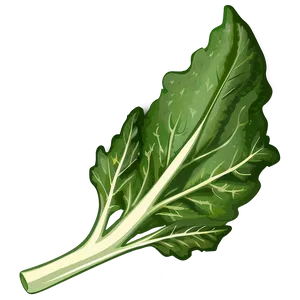 Collard Greens Drawing PNG 5