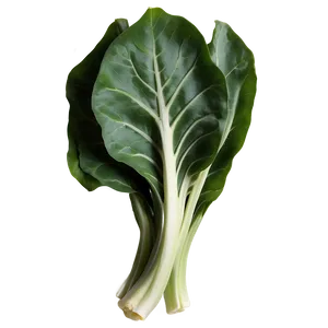 Collard Greens Drawing PNG Lln
