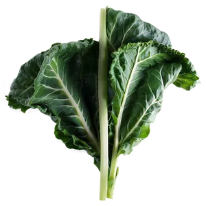 Collard Greens Drawing PNG Pom