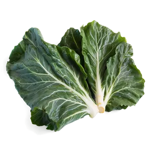 Collard Greens Icon PNG 06252024