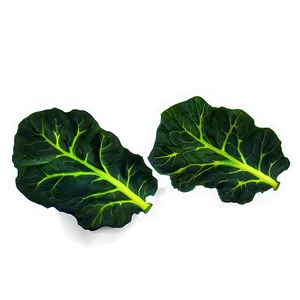 Collard Greens Icon Png Dws PNG image