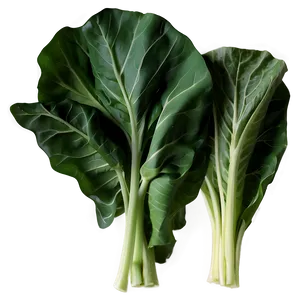 Collard Greens Illustration PNG 06252024